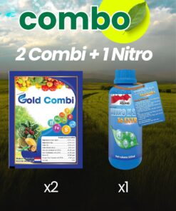 Combo 1: Siêu Vọt Đọt F1. Gold Combi & Nagen Nitro Magie