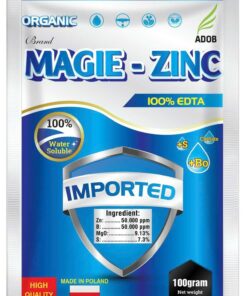 Magie Zinc 1