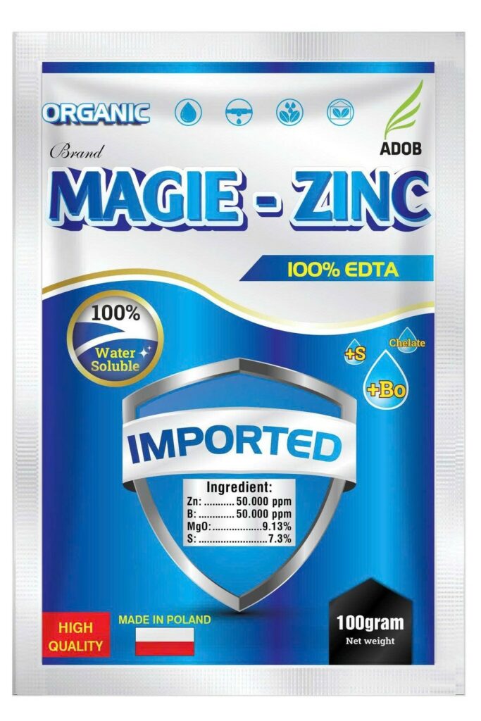 Magie Zinc 1